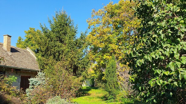 A stone house with a chimney, surrounded by a lush garden with various trees and shrubs. - Citadela - Large Double Room (Sombor)