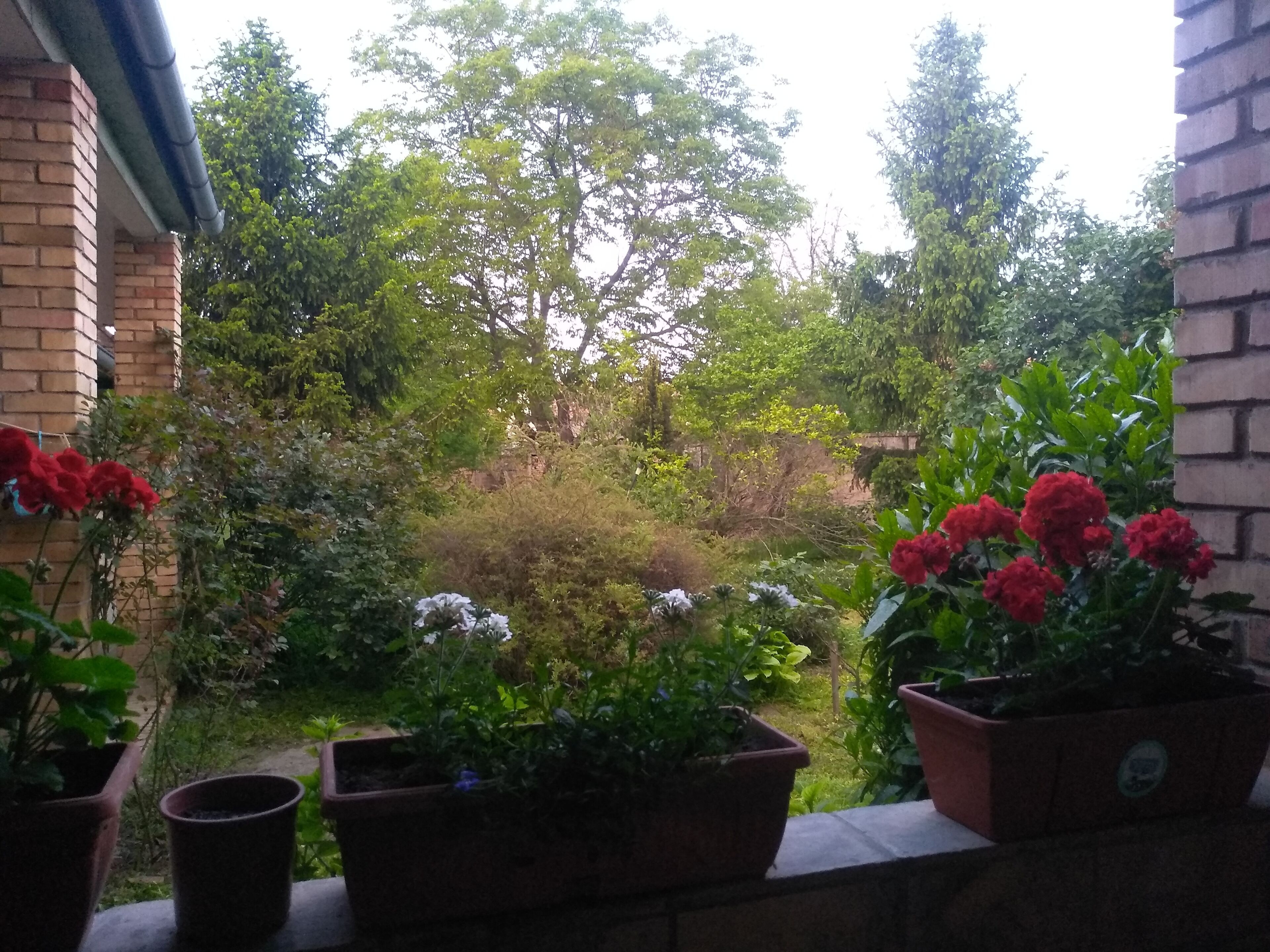 A balcony with potted plants and a view of a garden with trees and shrubs.