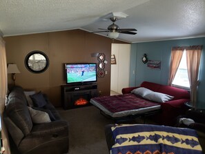 TV, lareira, DVD player, livros