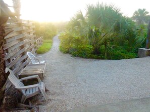 Property grounds - Crescent Palms (St. Augustine)