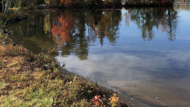 A calm lake surrounded by trees with autumn foliage. - Aiken Manor B&B (Franklin)