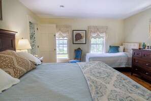 Habitació doble, vistes al llac | Mobiliari individual, escriptori i planxa i posts de planxar 