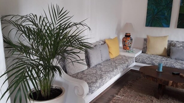 A living room with a sofa, a coffee table, a potted plant, and a vase. - Paradise! Your home away from home. (Alta Vista)