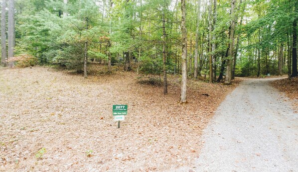 A forested area with a dirt path leading to a cabin. A sign indicates the direction to 'Little Creek Way' and 'Killer Tree Cabin'. - Newly updated cabin, 10 min to pkwy in Pigeon Forge. Screen porch, hot tub,WiFi. (Sevierville)