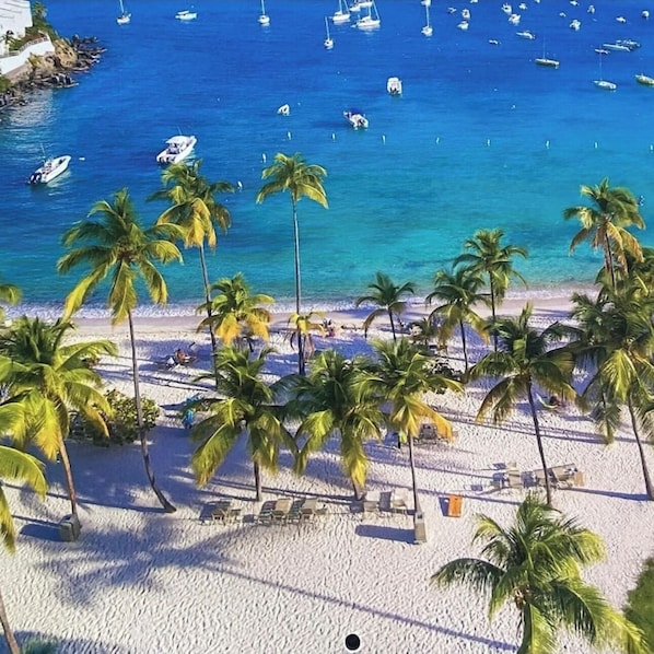 A beach with palm trees and boats in the water. - Cowpet Bay Beach Front Villa with Amazing Views (Elysian Beach Resort)