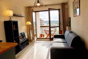 TV, DVD player, books, music library - Studio l'Orchidée Mobility lease (1 to 10 months) (Rueil-Malmaison)