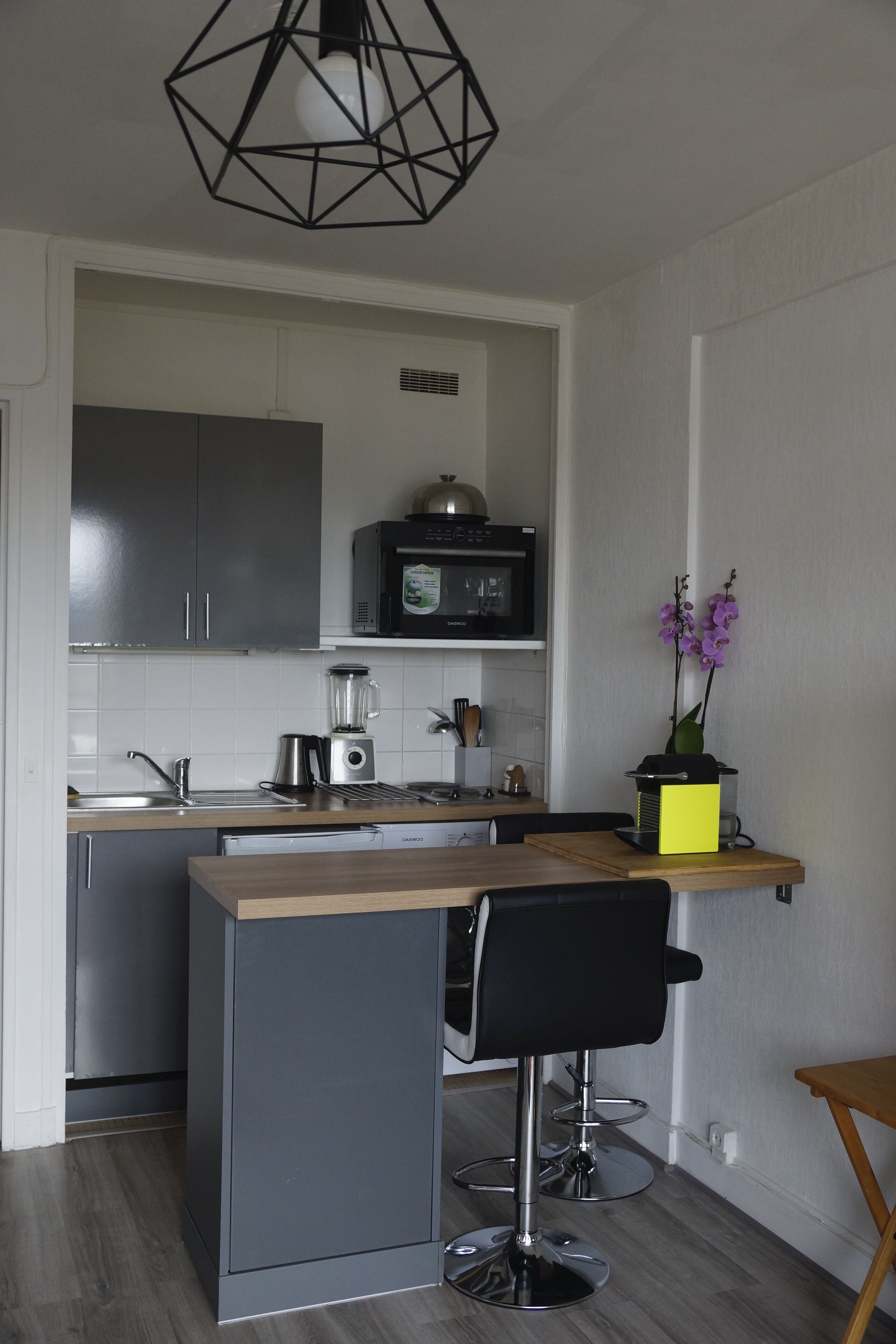 Studio l'Orchidée (Défense, Paris et Disneyland)