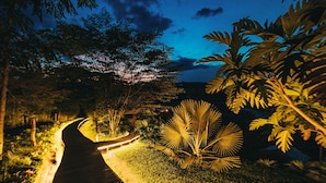 Un sendero nocturno en un jardín con bordes iluminados, rodeado de follaje tropical y árboles.