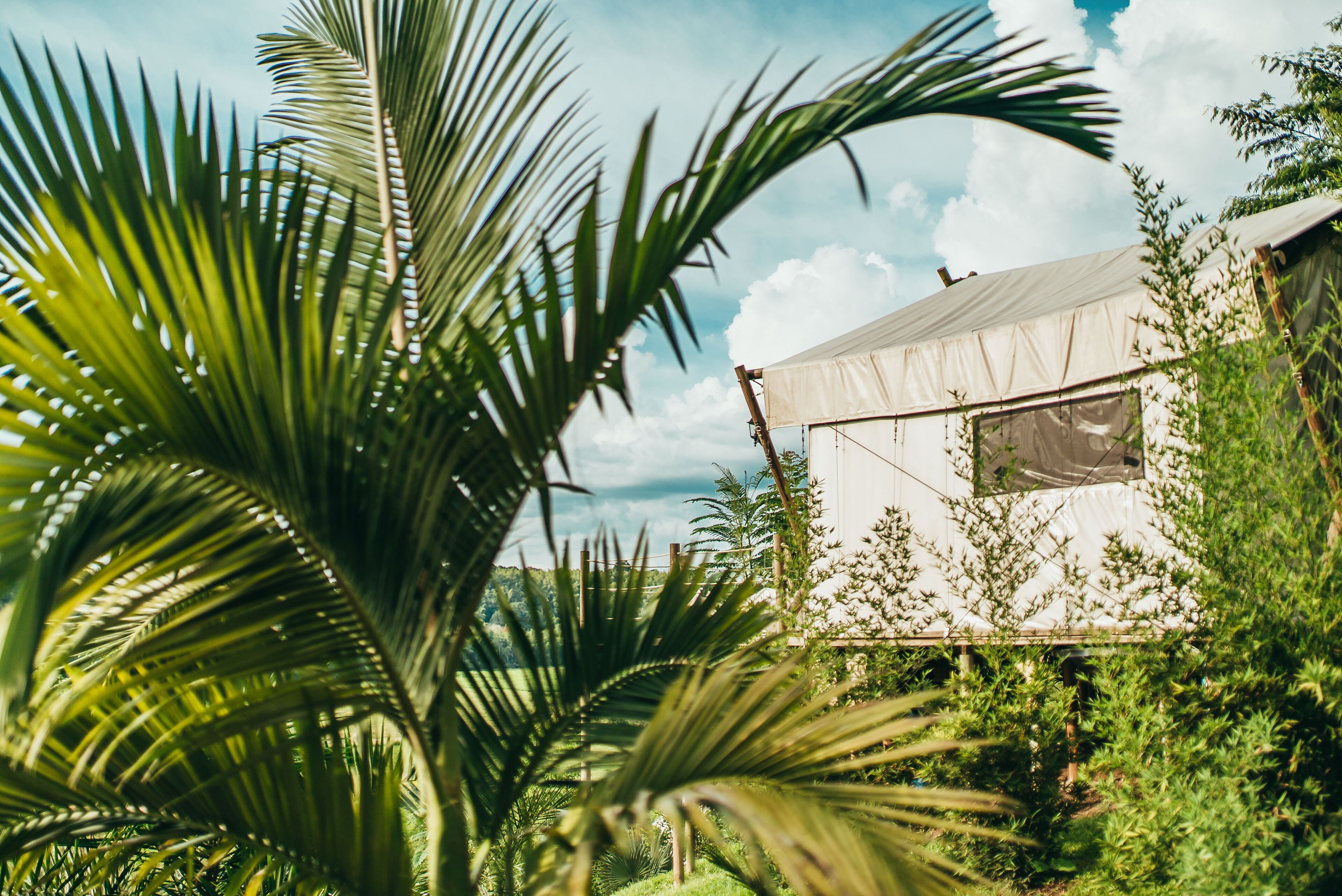 A tent-like structure surrounded by lush greenery and a clear sky.