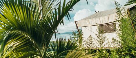 A tent-like structure surrounded by lush greenery and a clear sky.