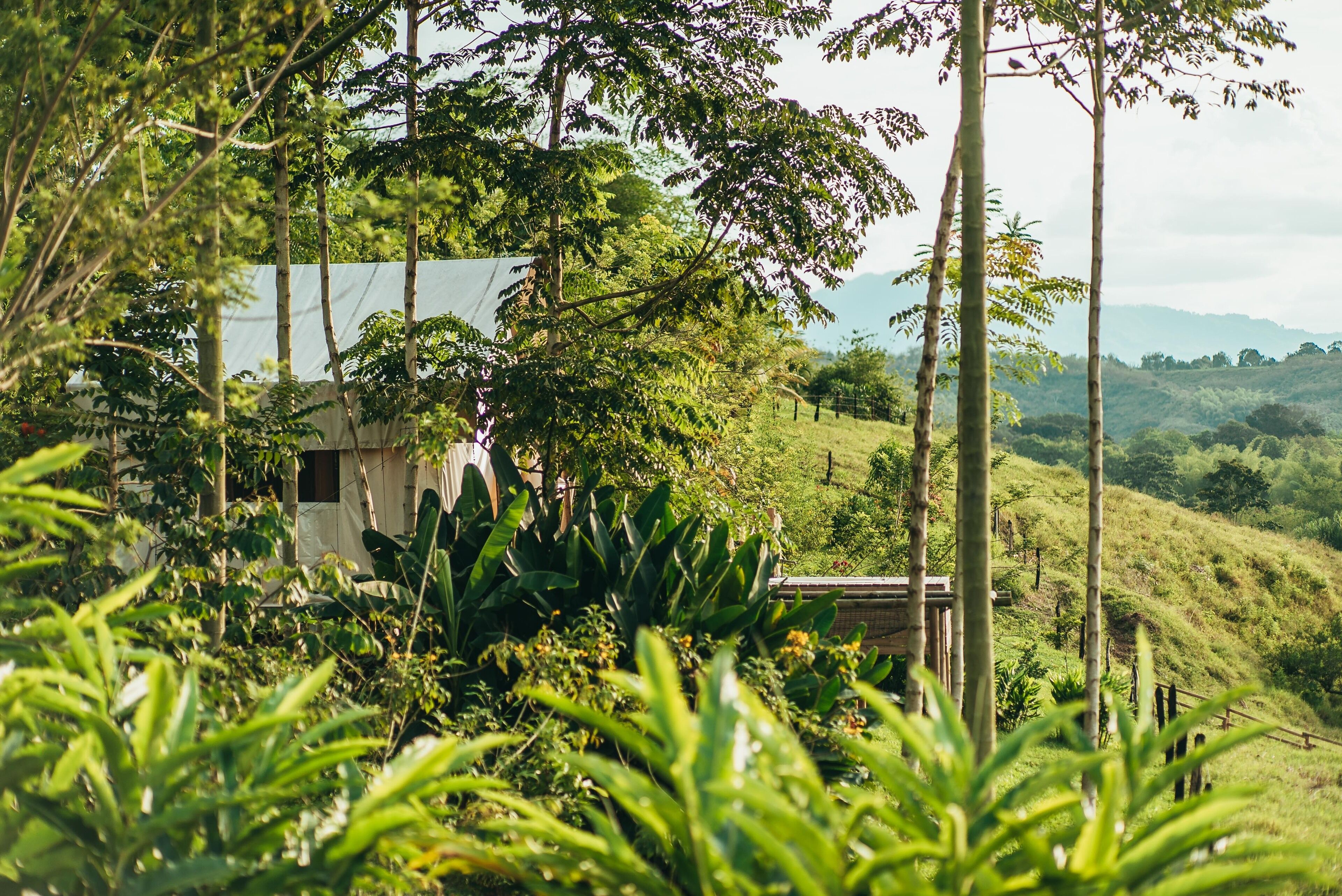 A rustic house surrounded by lush greenery and hills.