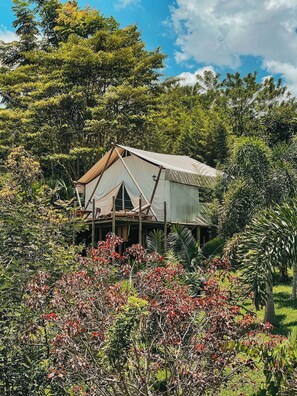 Minibar, individually decorated, individually furnished, desk