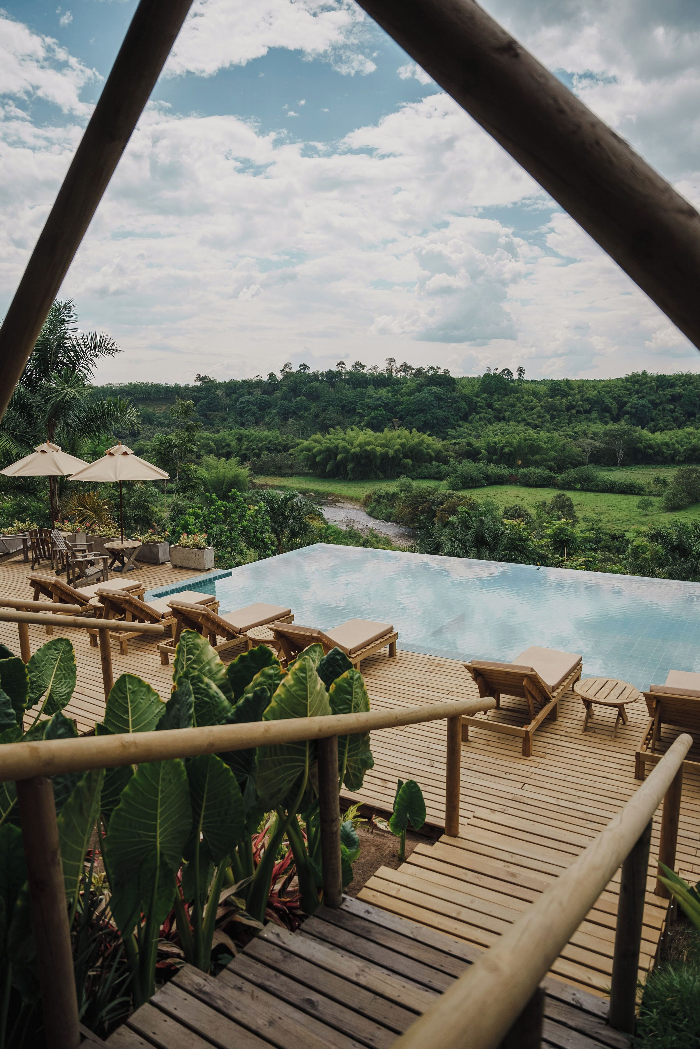 Une terrasse en bois avec des chaises longues et des parasols, donnant sur une piscine et une végétation luxuriante.