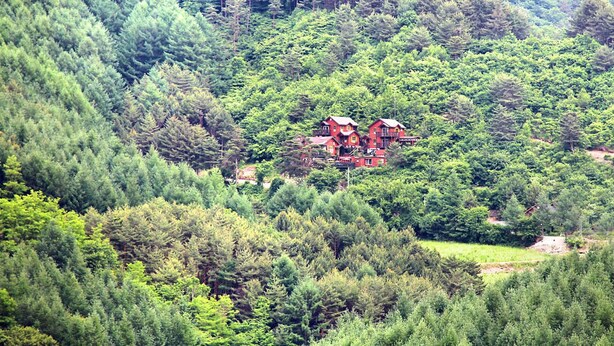 Une cabane rouge entourée d’une forêt dense.