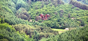 A red cabin surrounded by dense forest. - Camp Star Pension (Jeongseon)