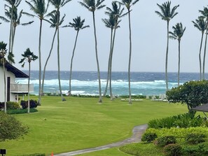 A coastal view with palm trees, a grassy area, and a building with a balcony.