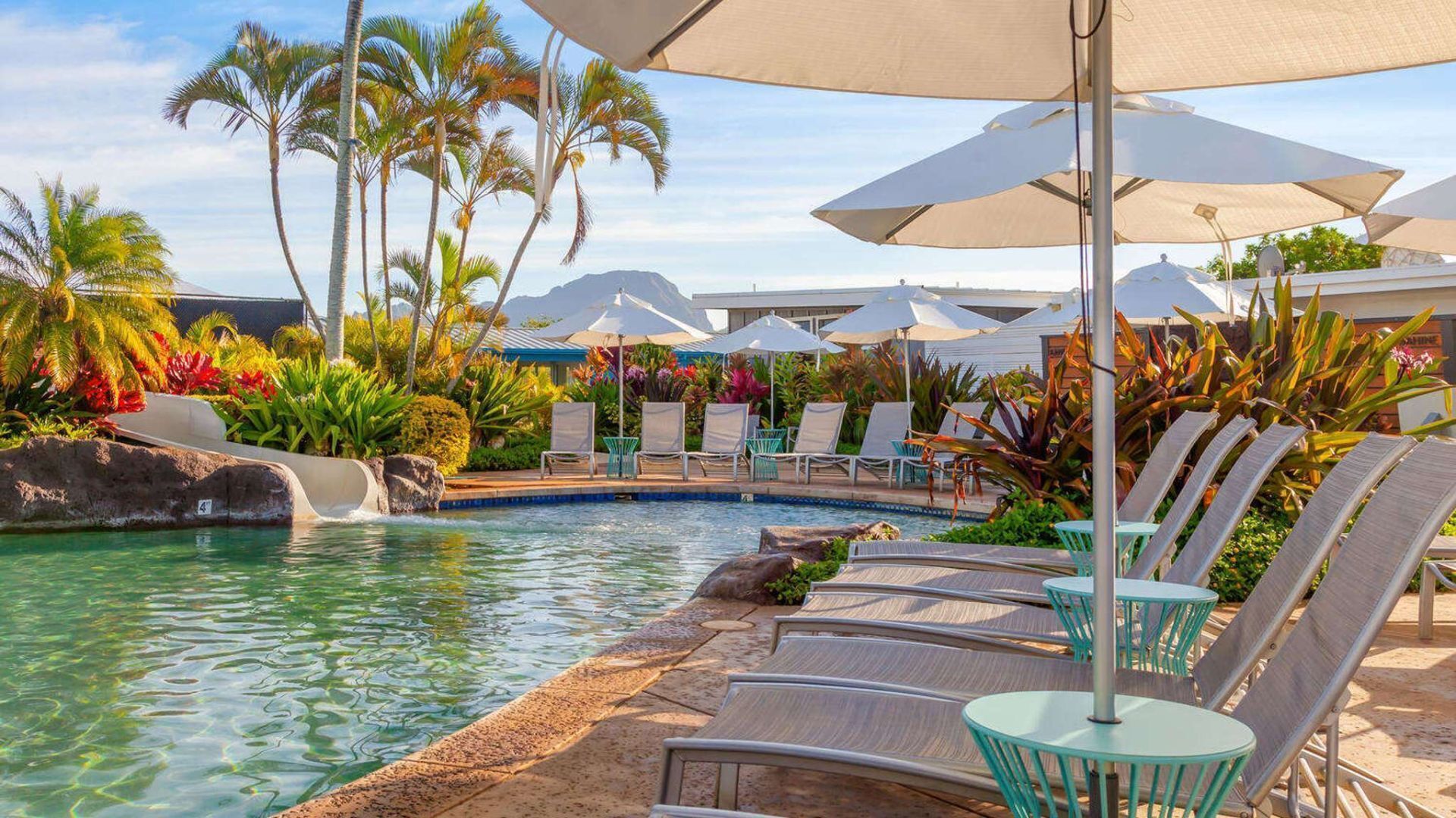 Zona de piscina con sillones de descanso, sombrillas y plantas tropicales.