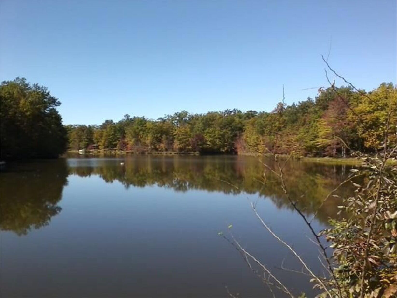 A calm lake surrounded by dense trees with reflections visible on the water's surface.
