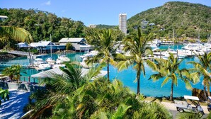 Uma marina com barcos atracados, rodeada por palmeiras e uma colina ao fundo.