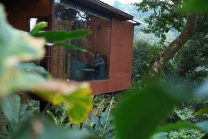 Una casa árbol con una sola persona en su interior, rodeada de abundante follaje.