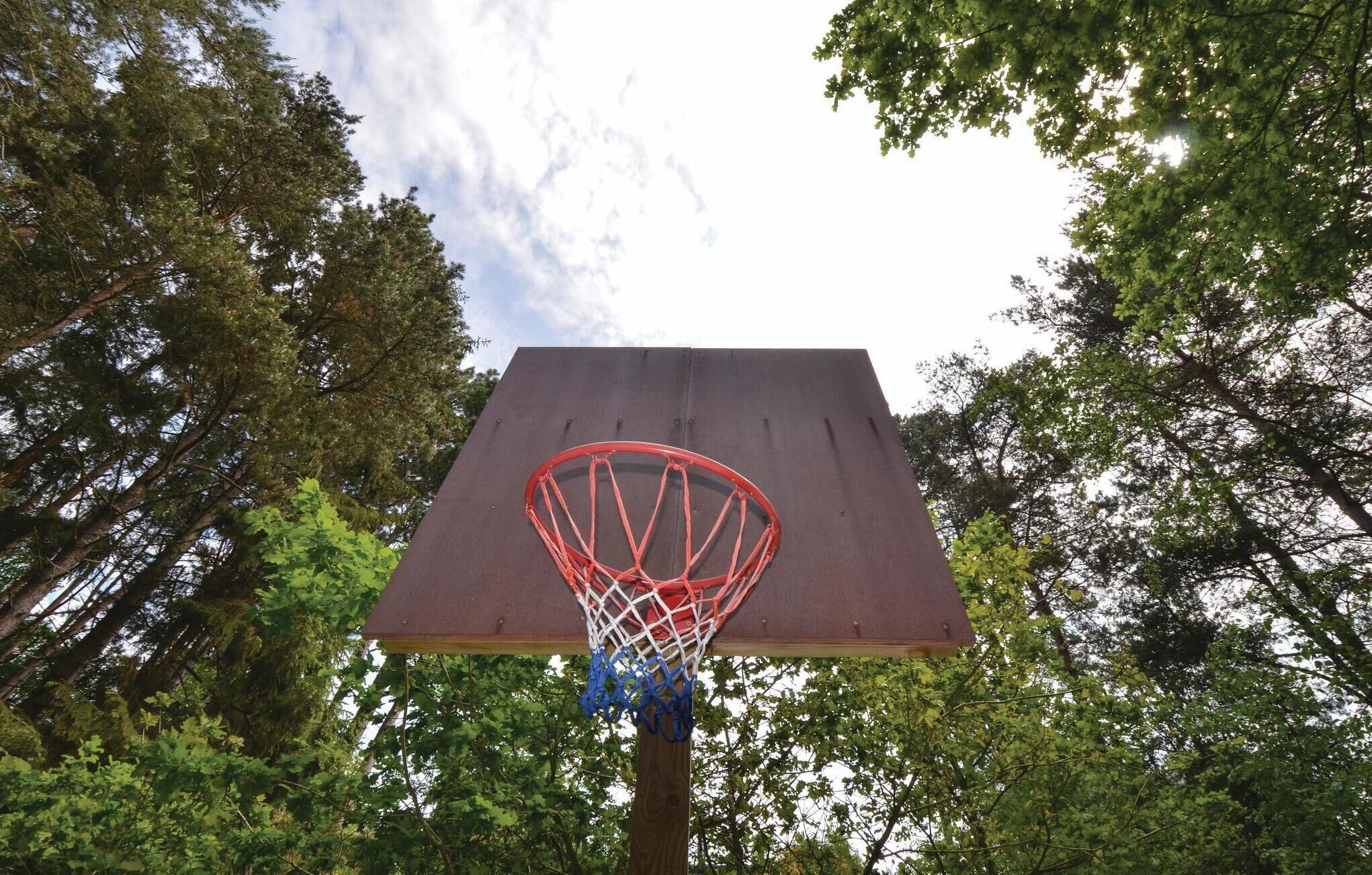 Ein Basketballkorb mit Netz vor dem Hintergrund hoher Bäume und eines wolkenlosen Himmels.