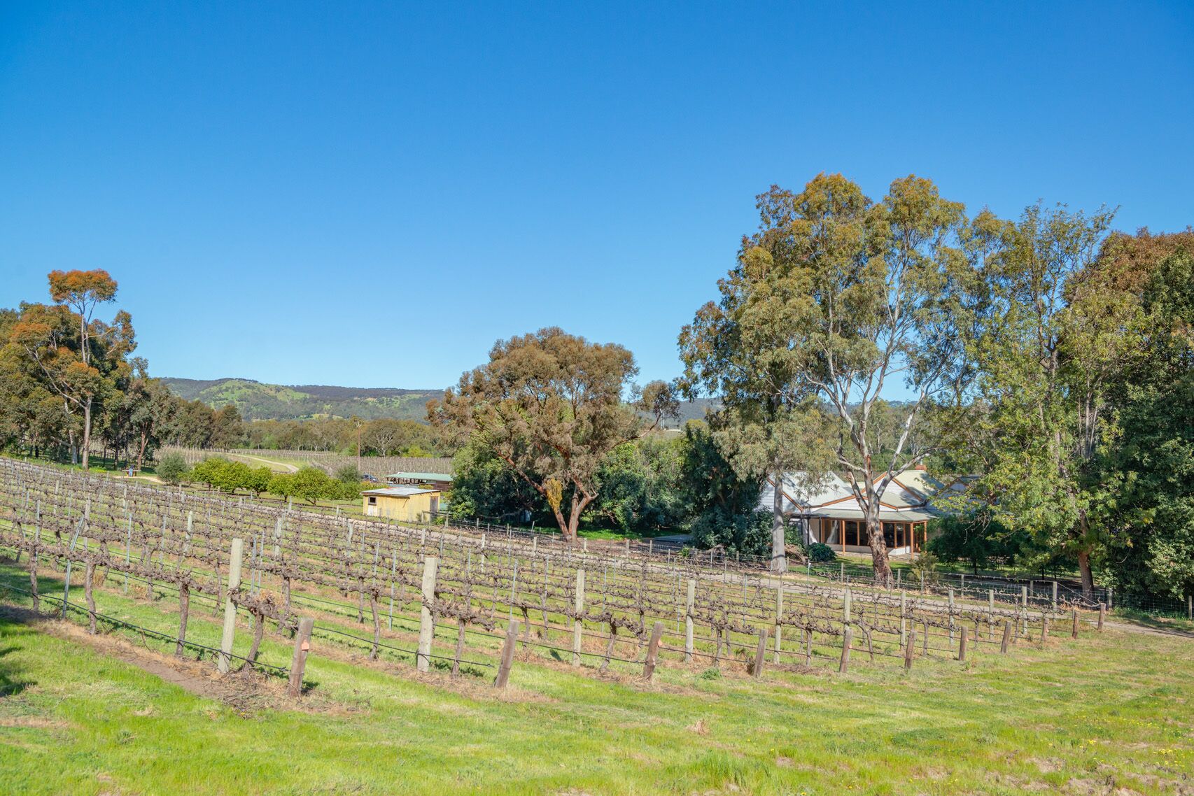 McLaren Vale Getaways - Clements House — image 12