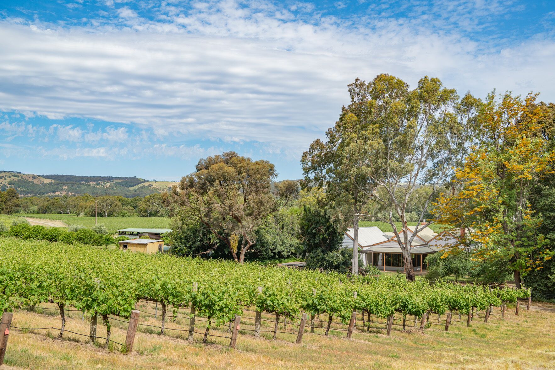 McLaren Vale Getaways - Clements House — image 11