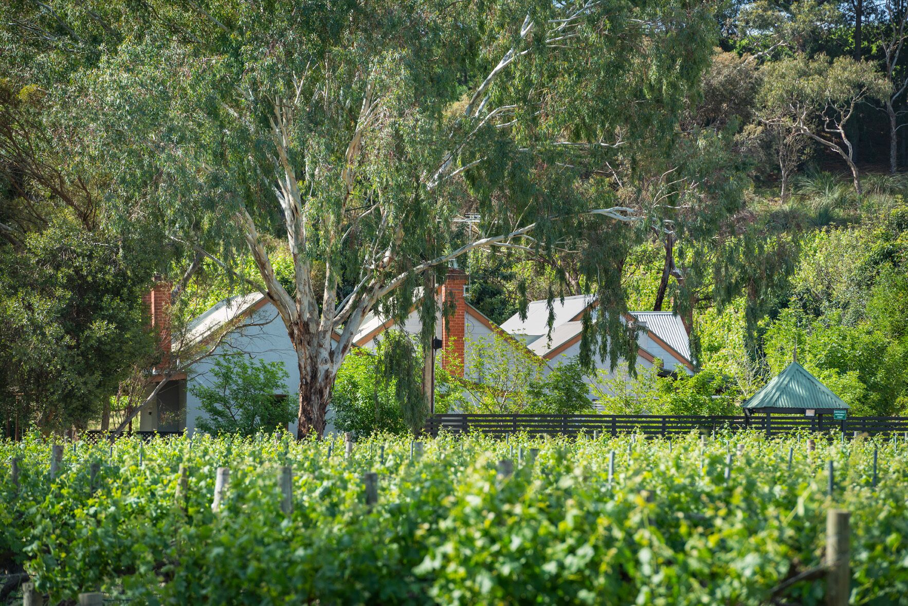 McLaren Vale Getaways - Clements House — image 8