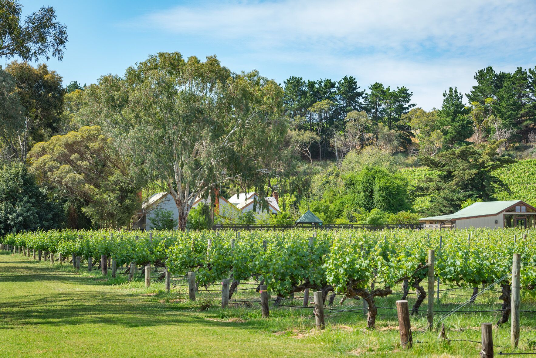 McLaren Vale Getaways - Clements House — image 10