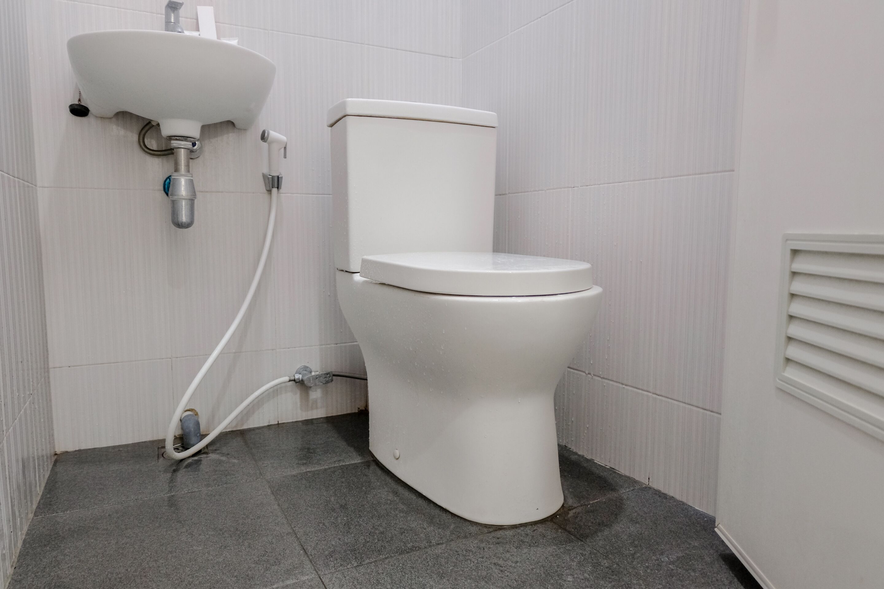 Un baño con inodoro y lavamanos blancos, y suelo de baldosas.