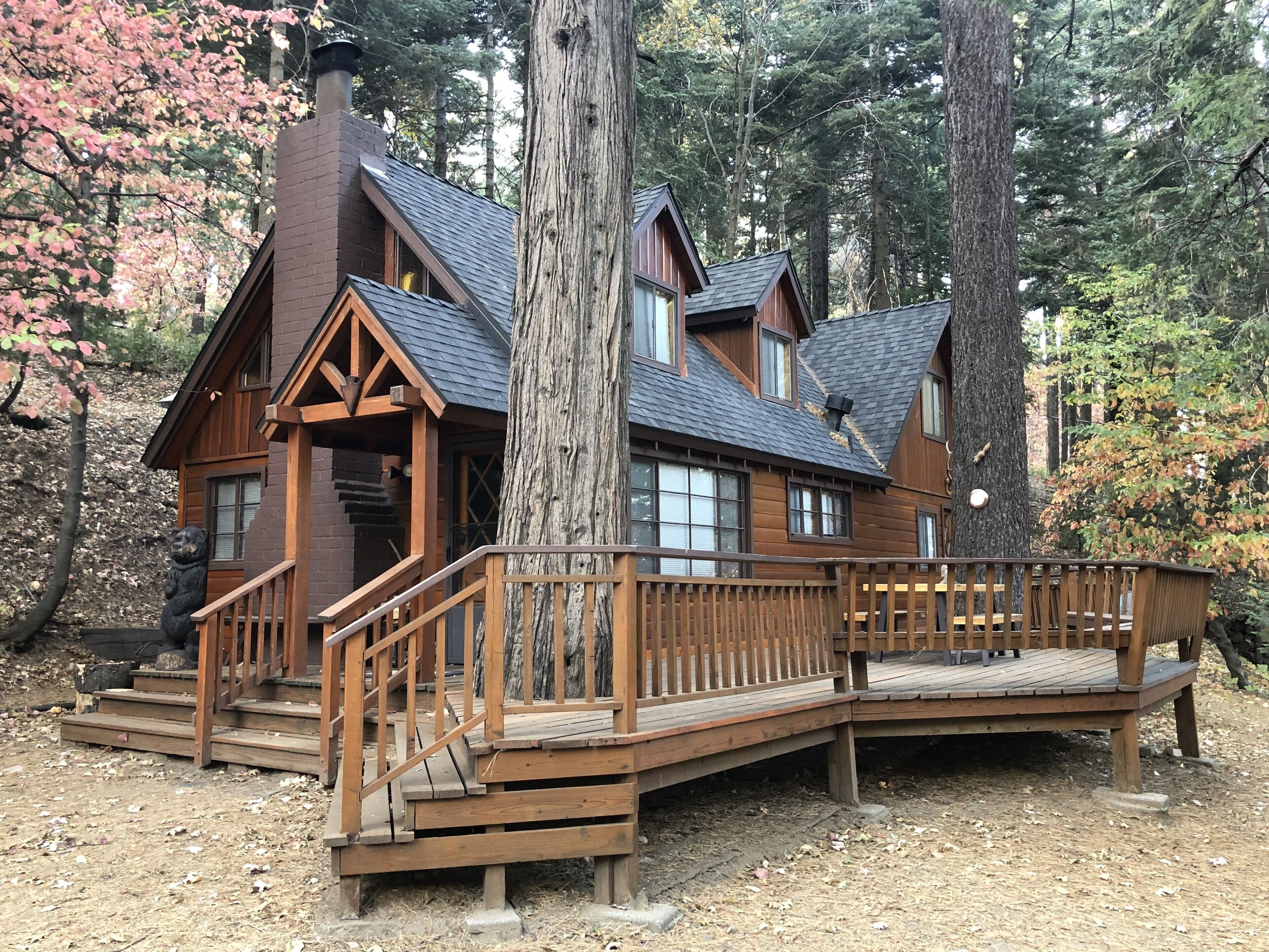 1940s Cozy, secluded cottage