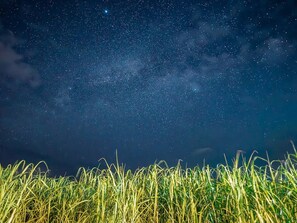 Apartment with Loft | View from room
