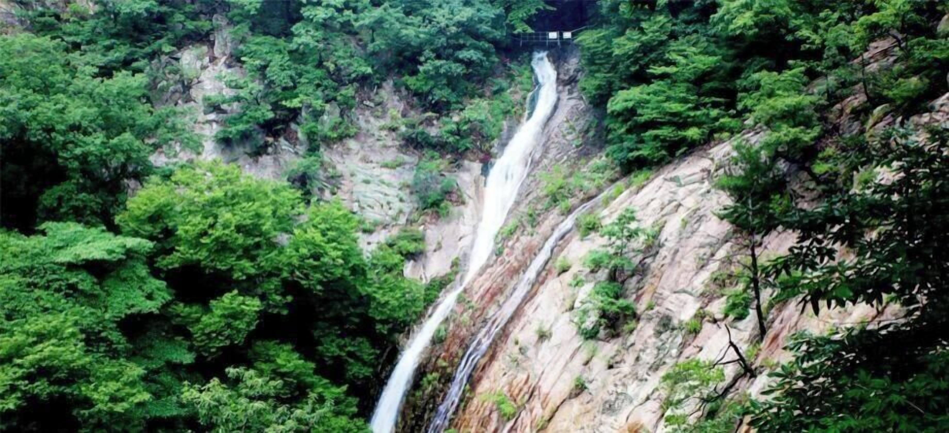 Una cascada rodeada de abundante follaje verde.