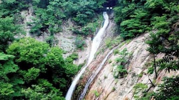 Una cascada rodeada de abundante follaje verde.