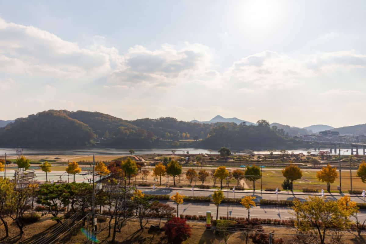 Vista de um parque com árvores, uma estrada e uma ponte ao fundo.