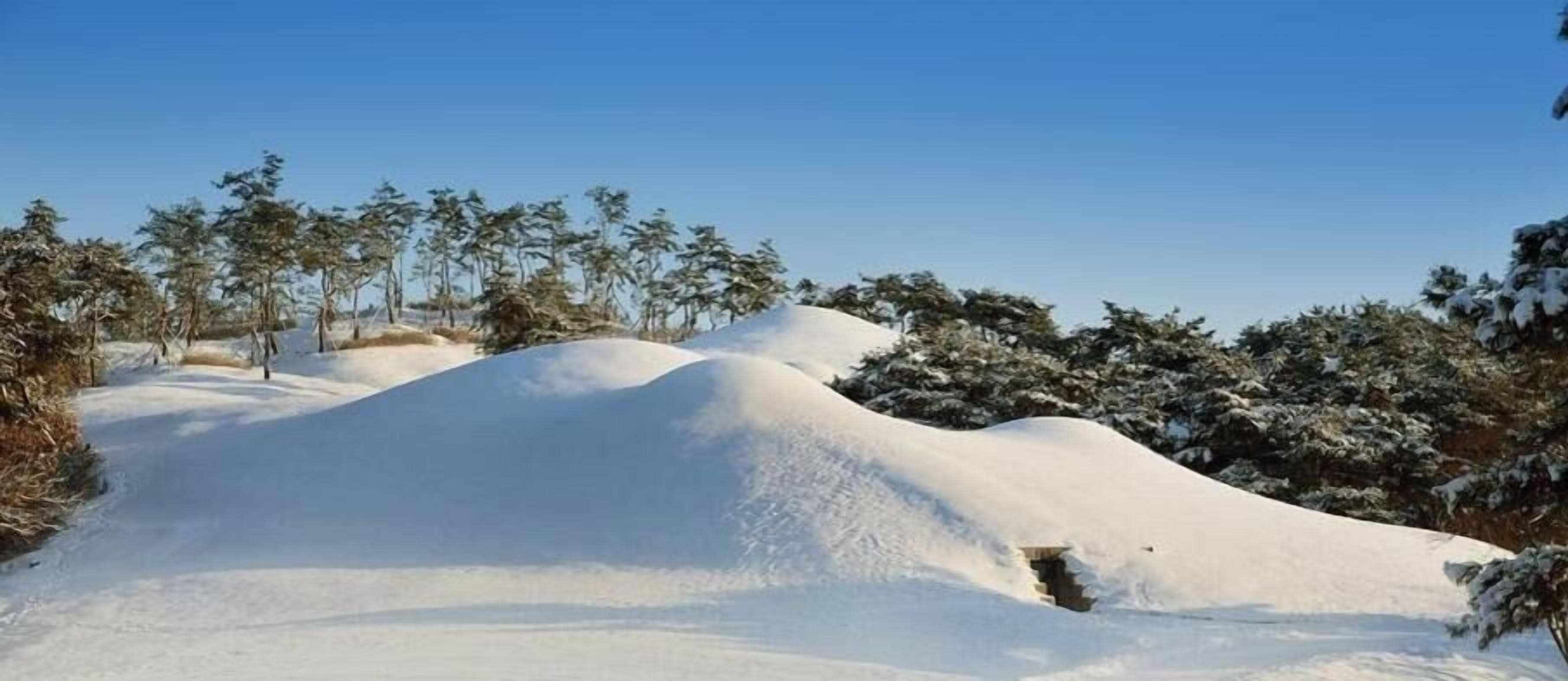 Schneebedeckte Landschaft mit Bäumen und sanften Hügeln.