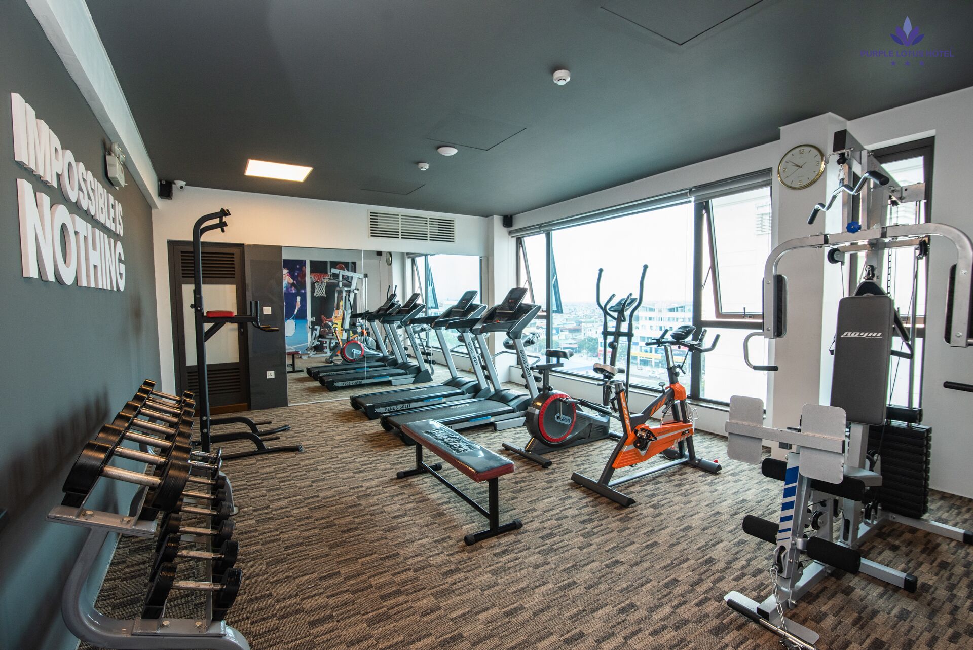 A gym with treadmills, stationary bikes, and weight machines.