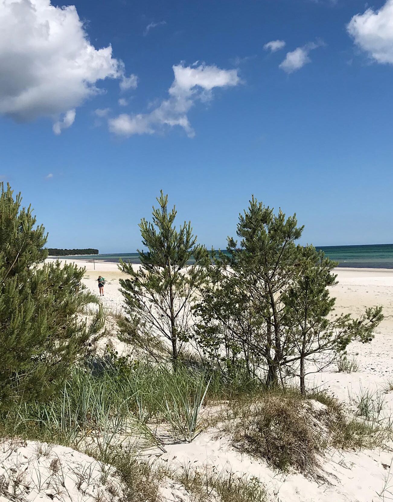 Playa en los alrededores 