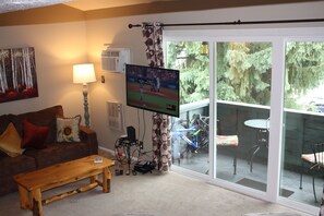 TV, DVD player, video library