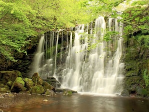A waterfall surrounded by lush greenery.