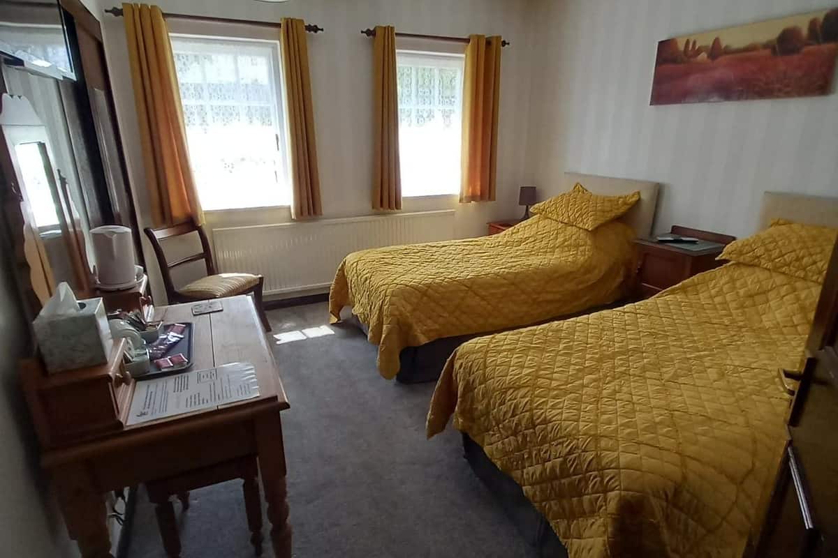 Quarto de hotel com duas camas, uma escrivaninha, uma cadeira, um abajur e um quadro na parede.