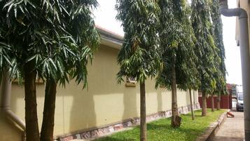 Vườn