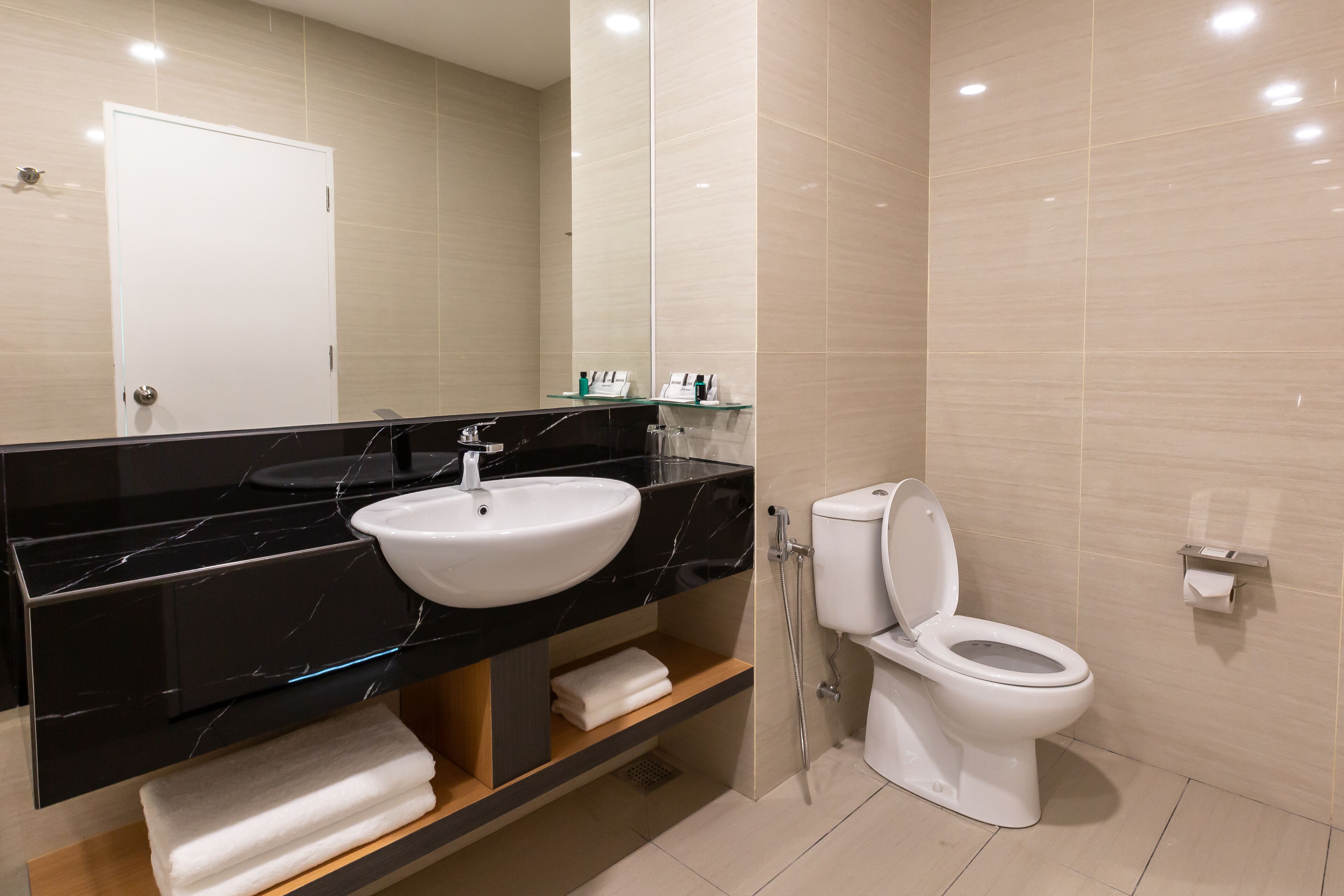 premier double room | bathroom sink