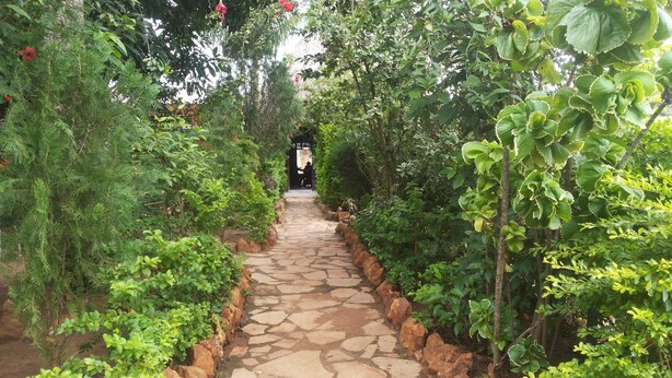 A stone pathway flanked by lush greenery and a small structure at the end. - Penthouse Inn (Moyo)