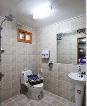 Douche, articles de toilette (gratuits), séchoir à cheveux