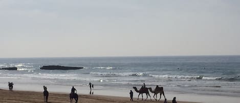 On the beach