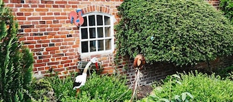 Ponyhof Naeve am Wittensee