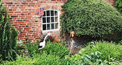 Ponyhof Naeve am Wittensee