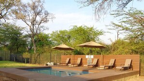 Outdoor pool, sun loungers - Sandpiper Villas Chobe (Kasane)