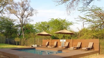 Outdoor pool, sun loungers